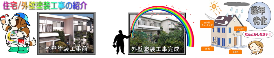 ガイナ塗料